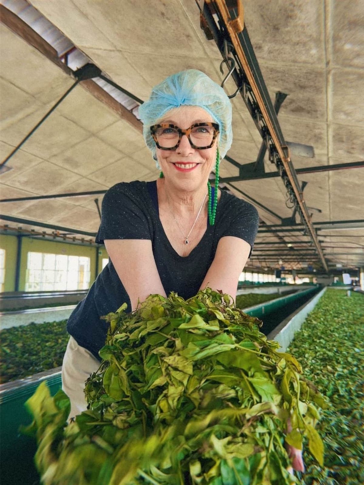 Maria wearing a light blue hairnet, glasses, and a black t-shirt stands in a tea plantation holding a large, vibrant green bunch of freshly harvested tea leaves.